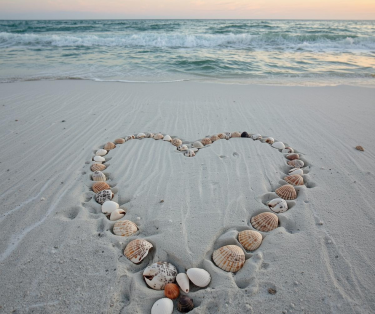 Image for Fall in Love with Savings!